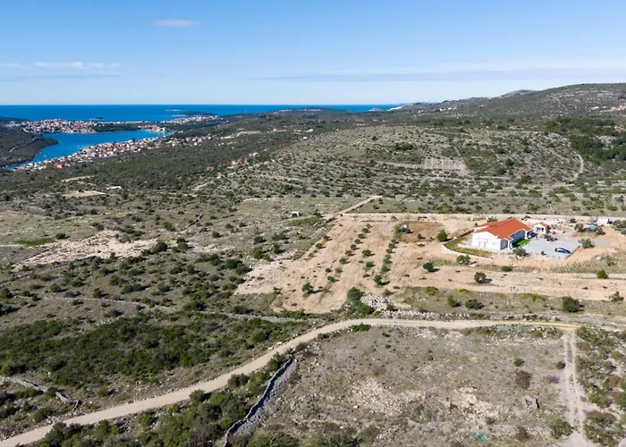 Maslina Vila Rogoznica (Sibenik-Knin)